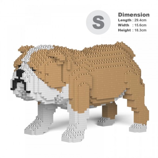 Engelse bulldog 01s m03 001