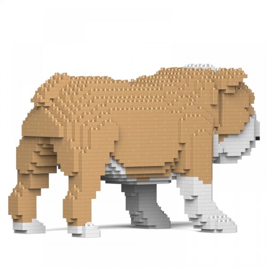 Engelse bulldog 01s m03 006