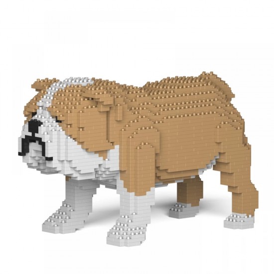 Engelse bulldog 01s m03 007